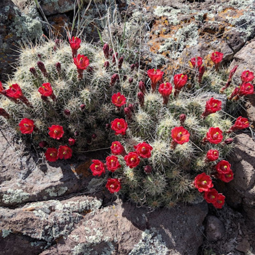 Meet your Posher, Shaylynn